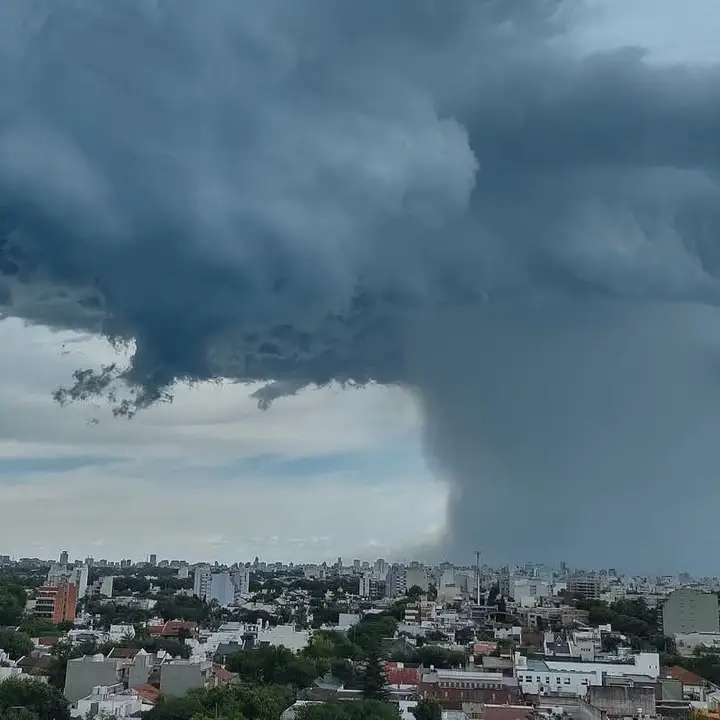 Tormenta eléctrica con caída de árboles en AMBA